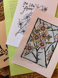 Little Sandy Sam Mail Club
